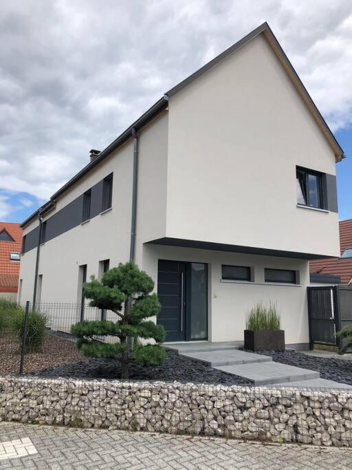 Maison D'Architecte Situee Sur La Route Des Vins Châtenois Eksteriør bilde